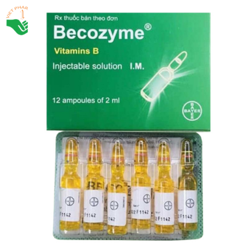 Thuốc tiêm Becozyme phòng và điều trị thiếu vitamin nhóm B (1 vỉ x 12 ống x 2ml)