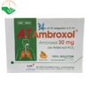 Thuốc A.T Ambroxol 30mg điều trị long đờm