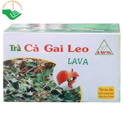 Trà túi lọc Cà Gai Leo Lava hỗ trợ bổ gan, giải độc gan, hạ men gan