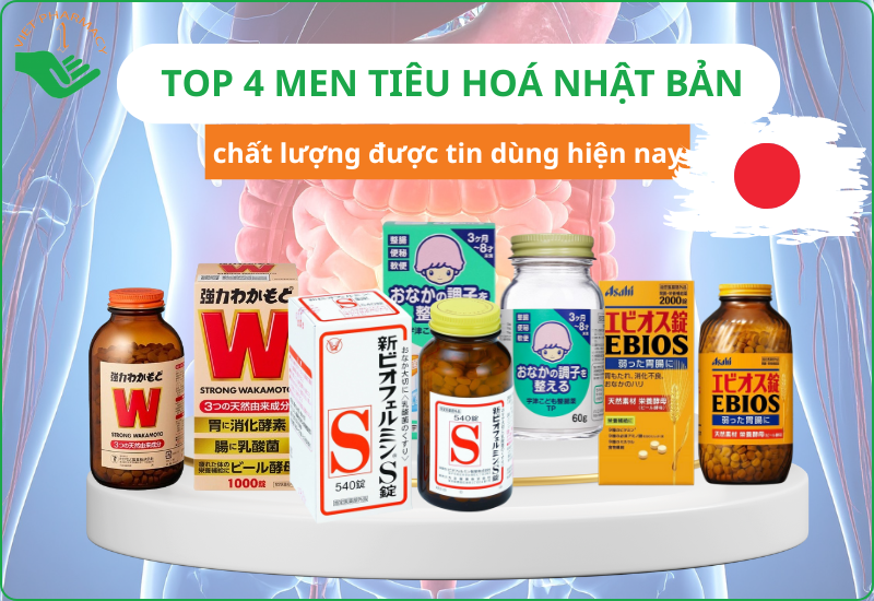 TOP 4 loại men tiêu hoá Nhật​ Bản chất lượng tốt được tin dùng hiện nay