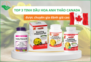 TOP 3 tinh dầu hoa anh thảo Canada được chuyên gia đánh giá cao