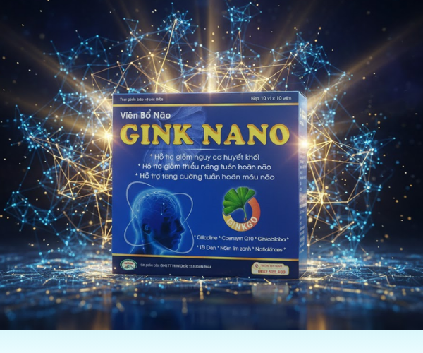 Viên bổ não Gink Nano giảm huyết khối, tăng tuần hoàn não (10 vỉ x 10 viên)