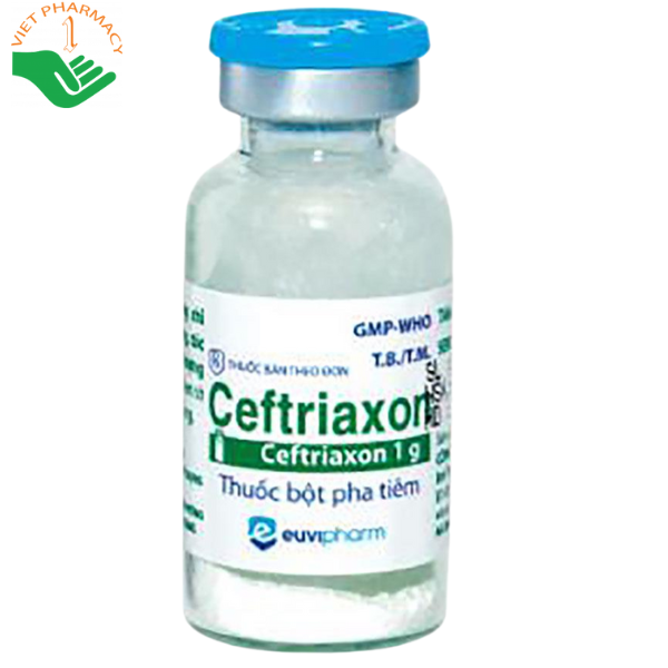 Lọ - Thuốc Ceftriaxon Euvipharm kháng sinh điều trị nhiễm khuẩn hiệu quả