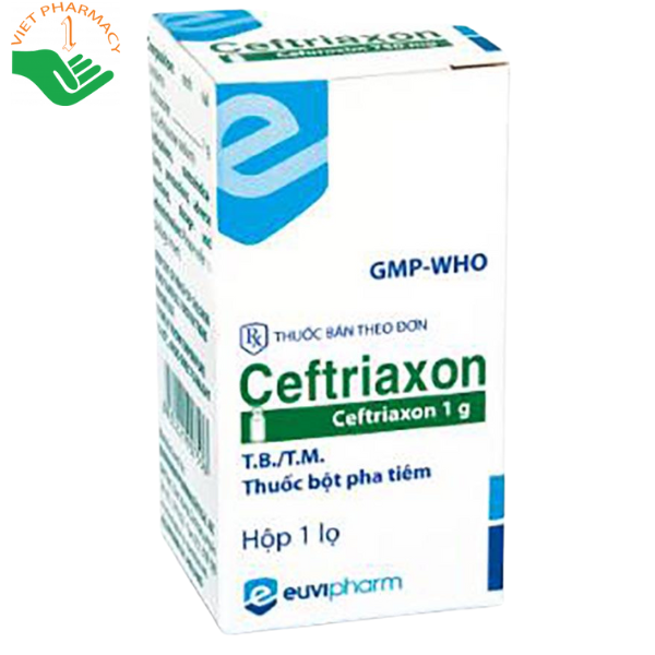 Thuốc Ceftriaxon Euvipharm kháng sinh điều trị nhiễm khuẩn hiệu quả