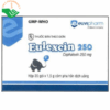 Thuốc Eulexcin 250mg điều trị các nhiễm khuẩn đường hô hấp, tai mũi họng