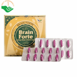 Viên uống Brain Forte GOLD hoạt huyết, tăng cường tuần hoàn máu não