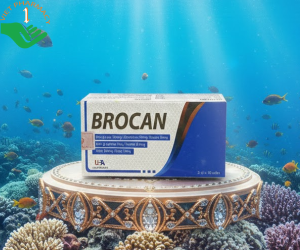 Viên uống Brocan hỗ trợ điều trị các vấn đề về giãn tĩnh mạch, phù nề (Hộp 3 vỉ x 10 viên)