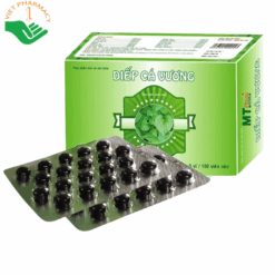 Viên uống Diếp Cá Vương hỗ trợ điều trị và phòng ngừa táo bón, tăng cường tiêu hóa