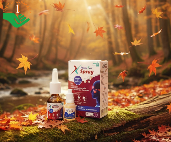 Xịt mũi xoang PlasmaKare X-Spray giúp chống viêm, kháng virus, thông mũi (Chai 30ml)