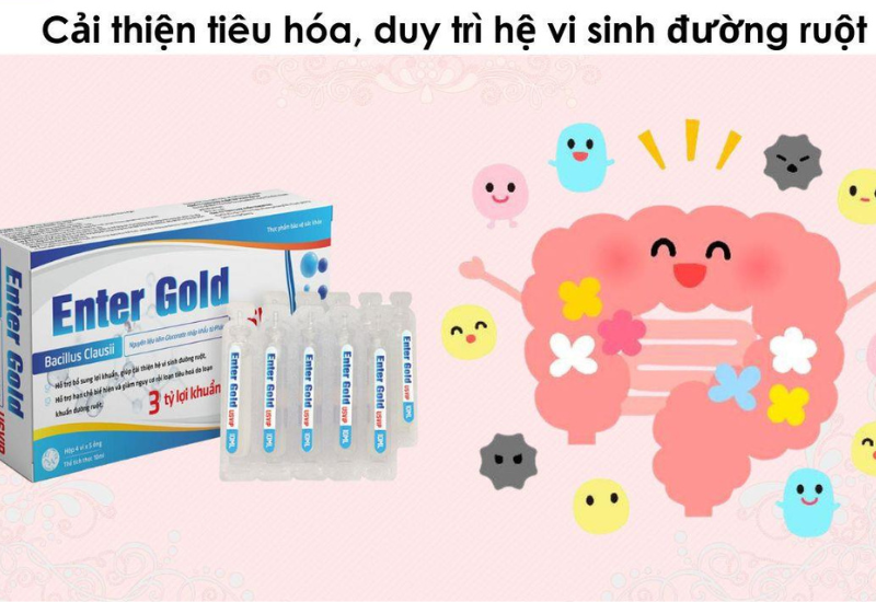 Enter Gold USVIP hỗ trợ cải thiện hệ vi sinh đường ruột (Hộp 4 vỉ x 5 ống)