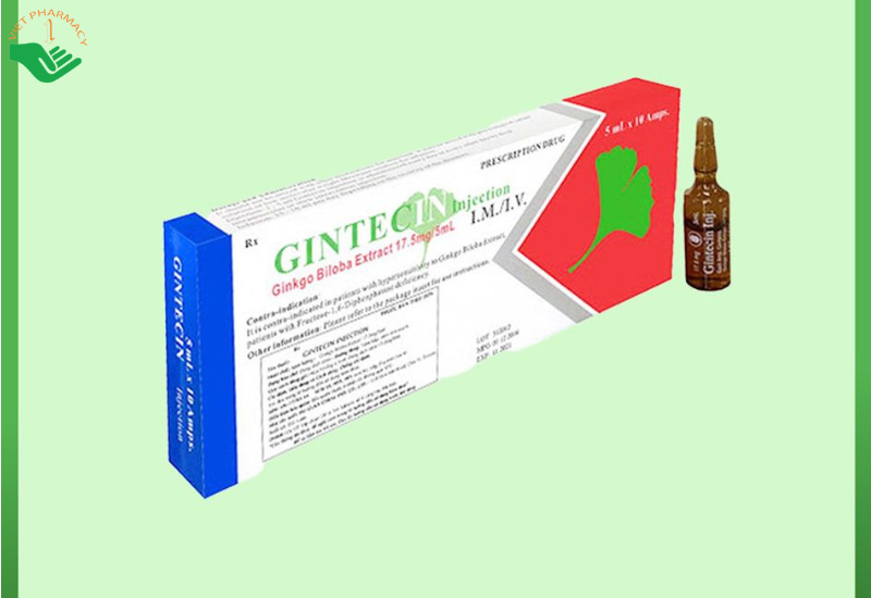 Gintecin injection 17.5mg/5ml điều trị các rối loạn tuần hoàn máu não (Hộp 10 ống x 5ml)