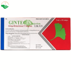 Gintecin injection 17.5mg/5ml điều trị các rối loạn tuần hoàn máu não (Hộp 10 ống x 5ml)