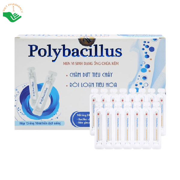 Men tiêu hóa Polybacillus – Phục hồi hệ vi sinh có lợi đường ruột (Hộp 15 ống x 10ml)
