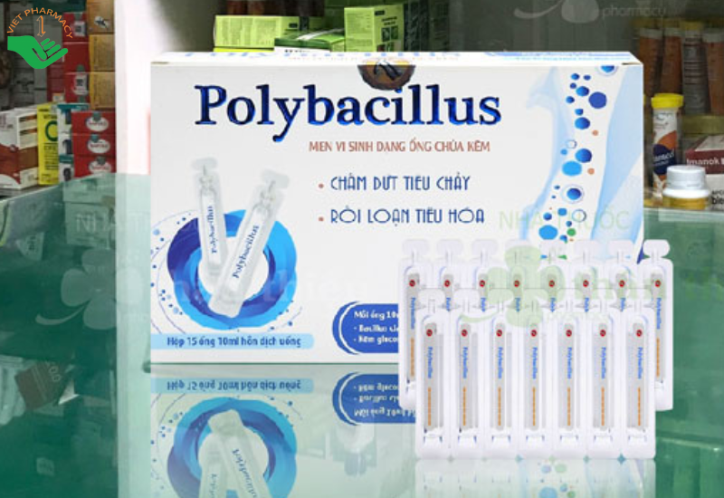 Men tiêu hóa Polybacillus phục hồi hệ vi sinh có lợi đường ruột (Hộp 15 ống x 10ml)