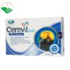 Viên uống Cerevit Fort hỗ trợ tăng cường tuần hoàn não bộ (Hộp 30 viên)