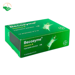 Becozyme Vitamins B Bayer phòng ngừa và điều trị thiếu vitamin nhóm B (Hộp 12 ống x 2ml)