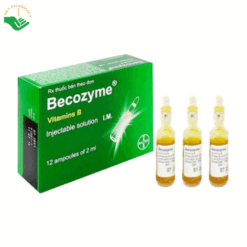 Becozyme Vitamins B Bayer phòng ngừa và điều trị thiếu vitamin nhóm B (Hộp 12 ống x 2ml)