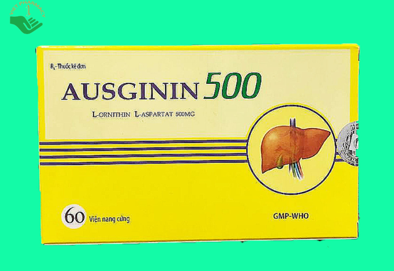 Thuốc Ausginin 500 Nam Hà điều trị những bệnh lý về gan gây tăng amoniac trong máu (6 vỉ x 10 viên)