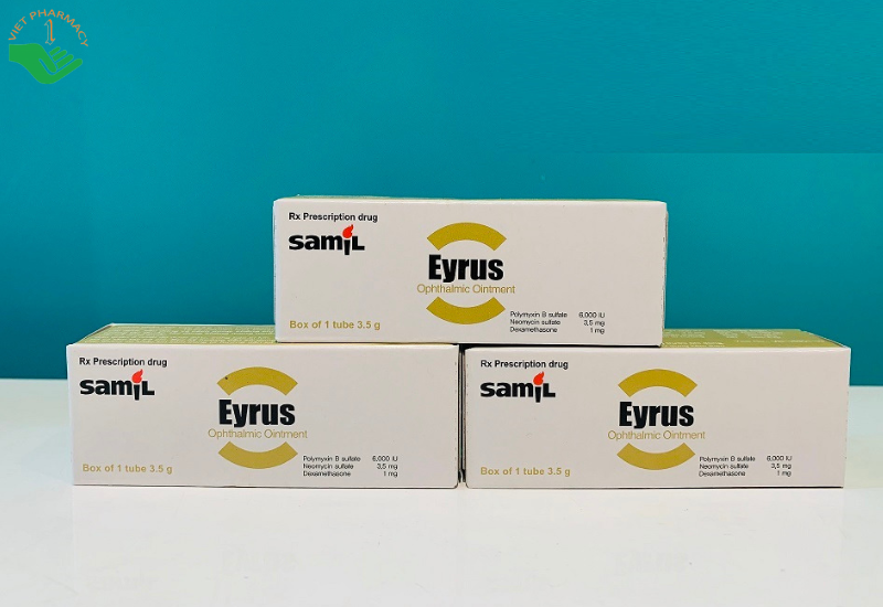 Thuốc mỡ tra mắt Eyrus trị nhiễm khuẩn mắt (Tuýp 3.5g)