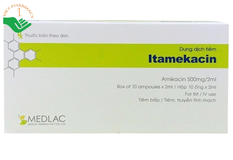 Thuốc tiêm Itamekacin 500mg/2ml điều trị nhiễm khuẩn nặng ở đường hô hấp và đường tiết niệu (Hộp 10 ống x 2 ml)