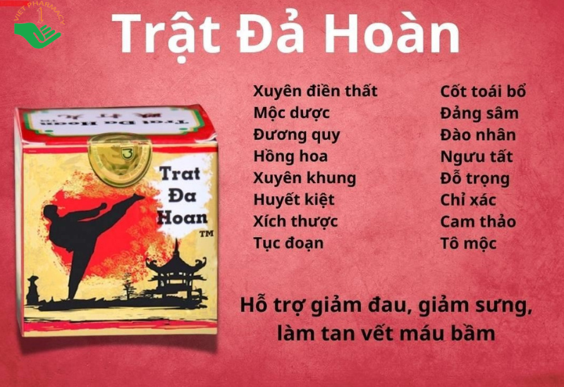 Trật Đả Hoàn TM Trang Minh hỗ trợ giảm đau, sưng do té ngã (Hộp 1 viên x 10g)