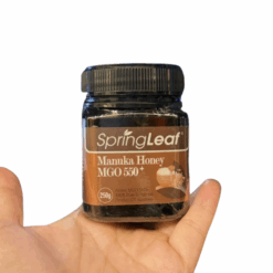Mật Ong Manuka MGO 550+ SpringLeaf hỗ trợ cải thiện hệ vi sinh đường ruột (Hũ 250g)