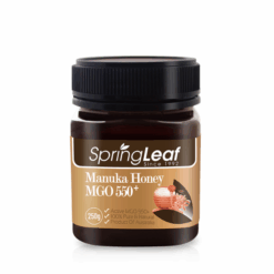 Mật Ong Manuka MGO 550+ SpringLeaf hỗ trợ cải thiện hệ vi sinh đường ruột (Hũ 250g)