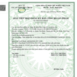 Siro Black ElderBerry Immune Plus hỗ trợ giảm các triệu chứng ho sổ mũi do cảm (lọ 100ml)