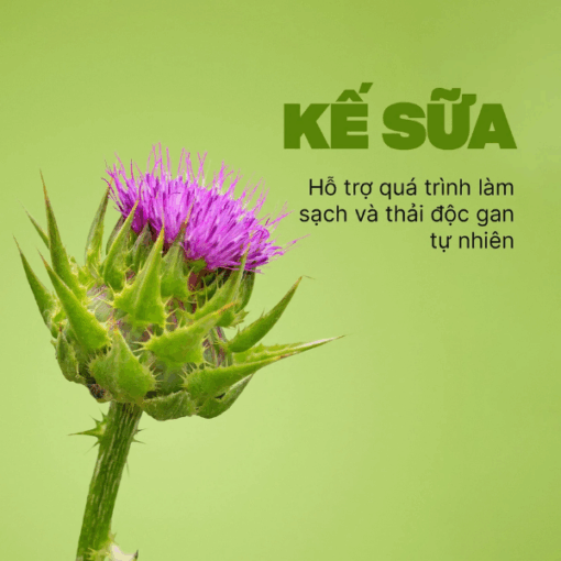 Viên uống Swisse Ultiboost Liver Detox (Hộp 60 viên)