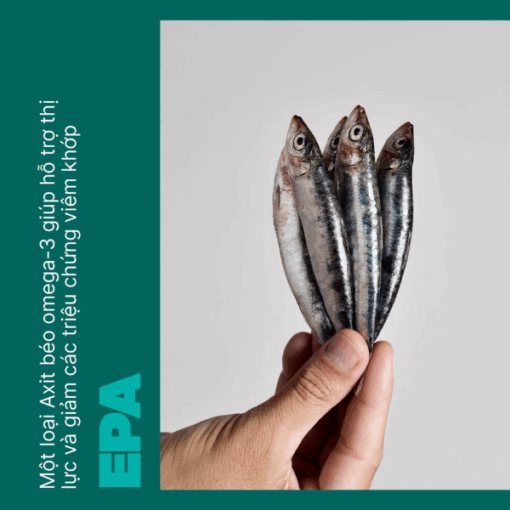 Viên uống Swisse Ultiboost Odourless High Strength Wild Fish Oil (Hộp 100 viên)