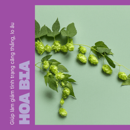 Viên uống Swisse Ultiboost Sleep (Hộp 30 viên)