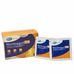 Men vi sinh hỗ trợ tiêu hóa Normagut (Hộp 30 gói)
