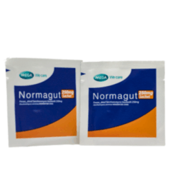 Men vi sinh hỗ trợ tiêu hóa Normagut (Hộp 30 gói)