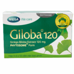Viên uống Giloba 120 Mega We Care (Hộp 30 viên)