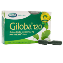Viên uống Giloba 120 Mega We Care (Hộp 30 viên)