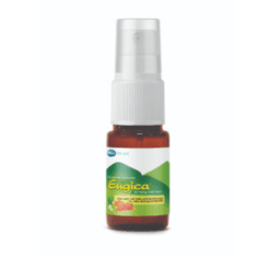 Xịt họng thảo dược Eugica Mega Lifesciences (Chai 10ml)