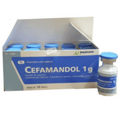 Thuốc bột pha tiêm Cefamandol 1g Hộp 10 lọ