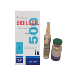 Thuốc hướng tâm thần Bidilucil 500 Bidiphar (Hộp 1 lọ + 1 ống nước cất 10ml)