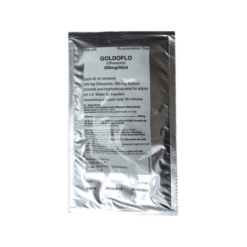Thuốc tiêm truyền kháng sinh Goldoflo (Hộp 10 túi 40ml)