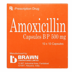 Viên uống kháng sinh Amoxicilline 500 mg Euvipharm (Hộp 100 viên)