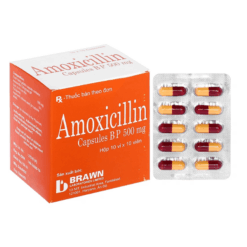 Viên uống kháng sinh Amoxicilline 500 mg Euvipharm (Hộp 100 viên)