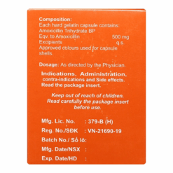 Viên uống kháng sinh Amoxicilline 500 mg Euvipharm (Hộp 100 viên)