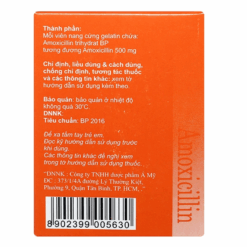 Viên uống kháng sinh Amoxicilline 500 mg Euvipharm (Hộp 100 viên)
