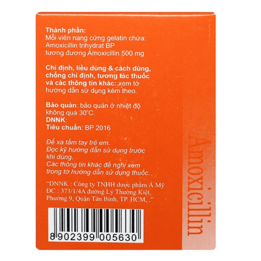 Viên uống kháng sinh Amoxicilline 500 mg Euvipharm (Hộp 100 viên)