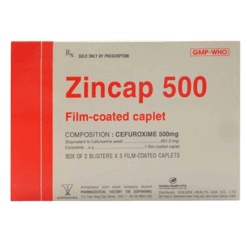 Thuốc kháng sinh điều trị nhiễm khuẩn Zincap 500 (Hộp 10 viên)