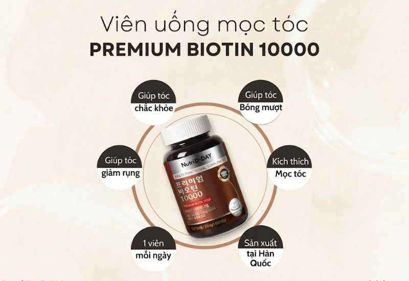 Viên uống Premium Biotin 10000mcg Nutri D-Day giúp giảm rụng tóc, kích thích mọc tóc, hỗ trợ da sáng khỏe và móng chắc khỏe (Hộp 90 viên)