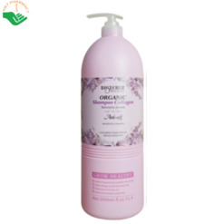 Combo dầu gội và dầu xả Collagen Absolute Hair Appeal Plus Vinge kích thích mọc tóc, khắc phục tình trạng gãy ngọn, xơ yếu (Dầu gội 500ml + Dầu xả 500ml)