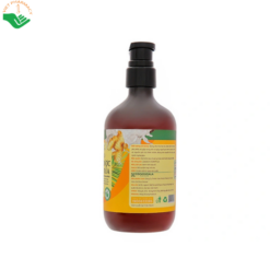 Dầu gội gừng dừa Cỏ Cây Hoa Lá giúp làm sạch gàu, ngăn ngừa rụng tóc, nuôi dưỡng tóc mềm mượt (Chai 440g)