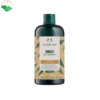 Dầu gội gừng Ginger Scalp Care Shampoo The Body Shop giúp chống gàu, xoa dịu cảm giác khô, ngứa da đầu (Chai 400ml)