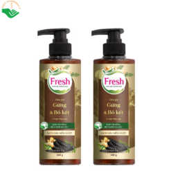 Dầu gội thảo mộc dưỡng sinh Fresh giúp sạch gàu, dưỡng tóc mềm mượt (Chai 480g)